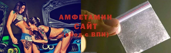 индика Алзамай