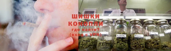 ПСИЛОЦИБИНОВЫЕ ГРИБЫ Алексеевка