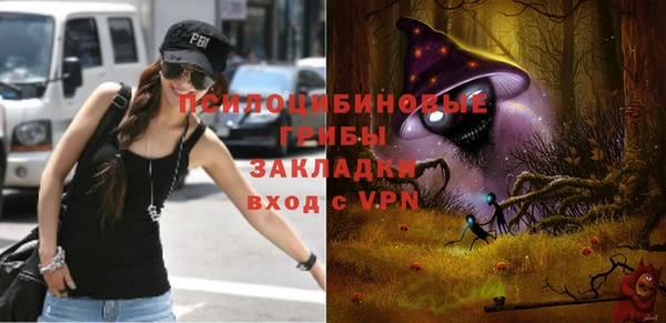 ПСИЛОЦИБИНОВЫЕ ГРИБЫ Алексеевка