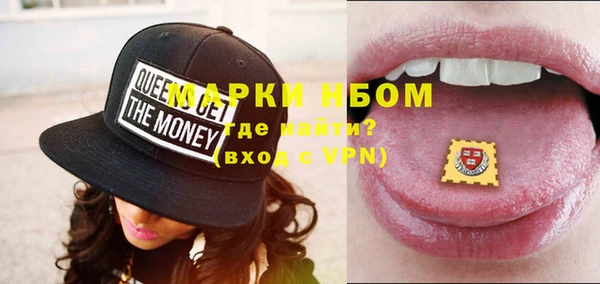 индика Алзамай