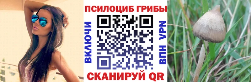 Псилоцибиновые грибы MAGIC MUSHROOMS  Купить  Железноводск 